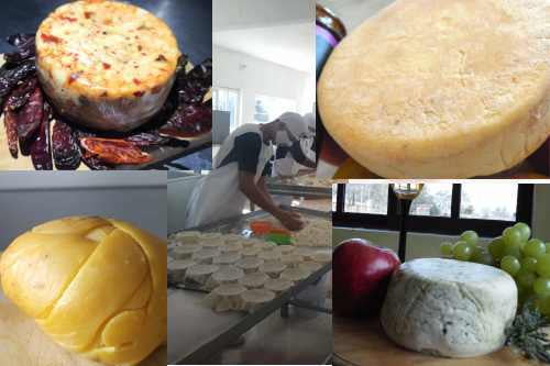 Un taquito, las quesadillas o la botana con queso artesanal y gourmet del Edomex